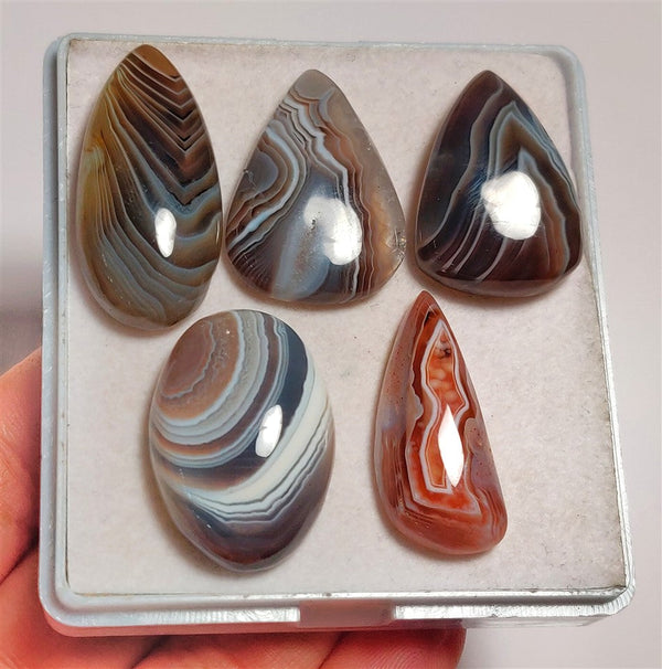 Botswana Agate Cabs Lot