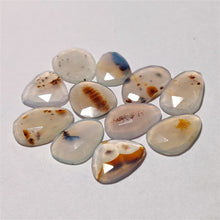 Rose Cut Dendritic Agates Lot