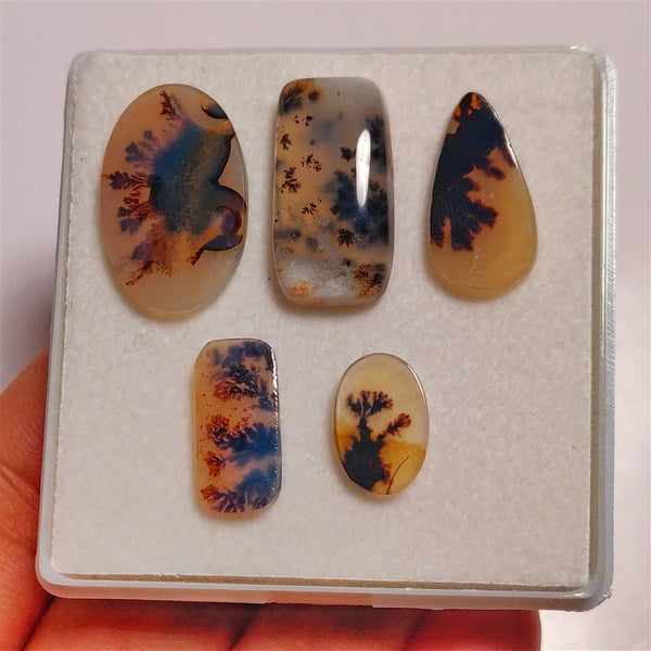 Scenic Dendritic Agate Cabs Lot