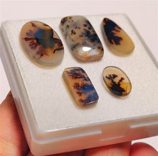 Scenic Dendritic Agate Cabs Lot