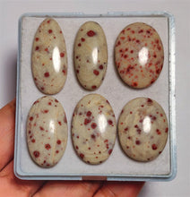 Cinnabar Cabs Lot