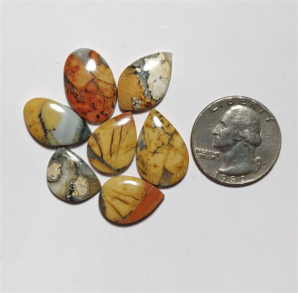 Maligano Jasper Cabs Lot