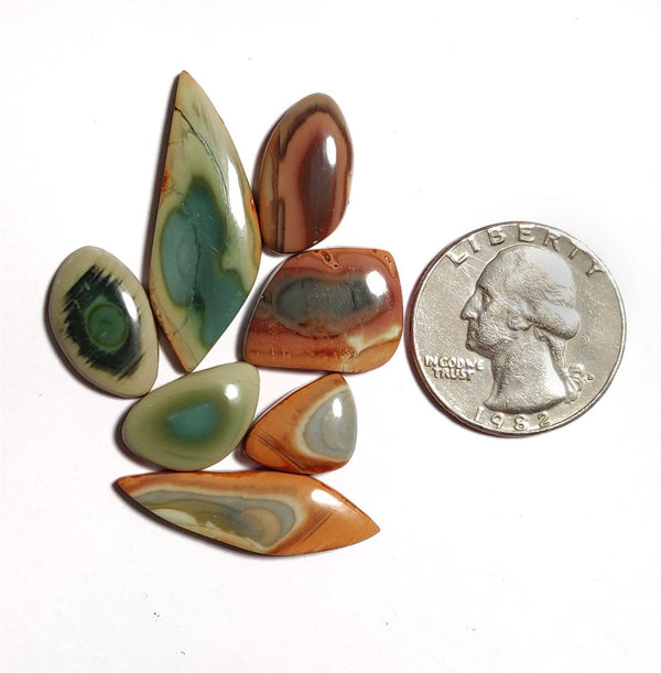 Imperial Jasper Slices Lot